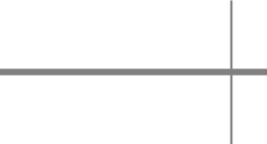 LOGO-vsp-securité